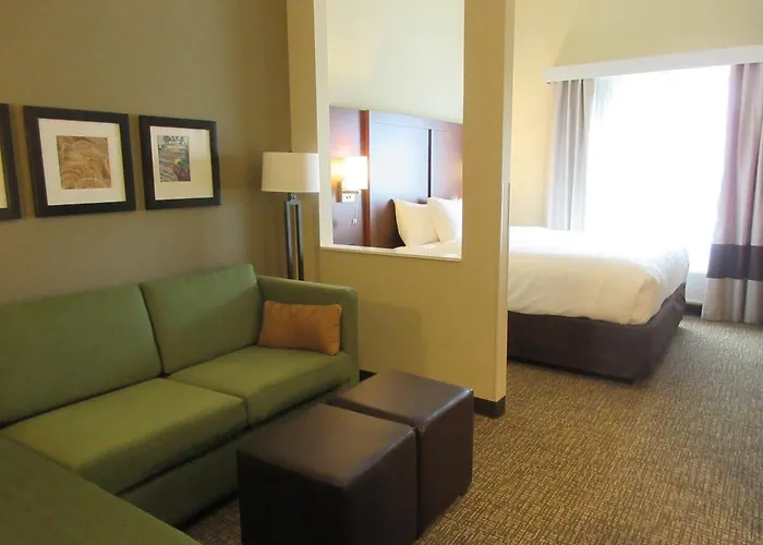 Comfort Suites Summerville