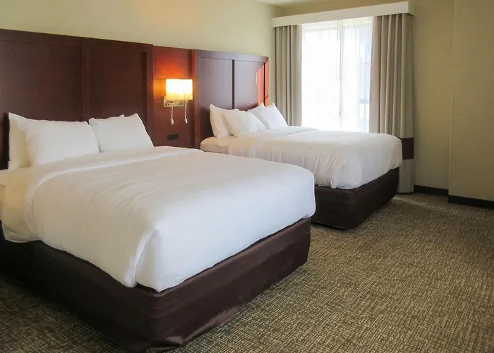 Comfort Suites Summerville